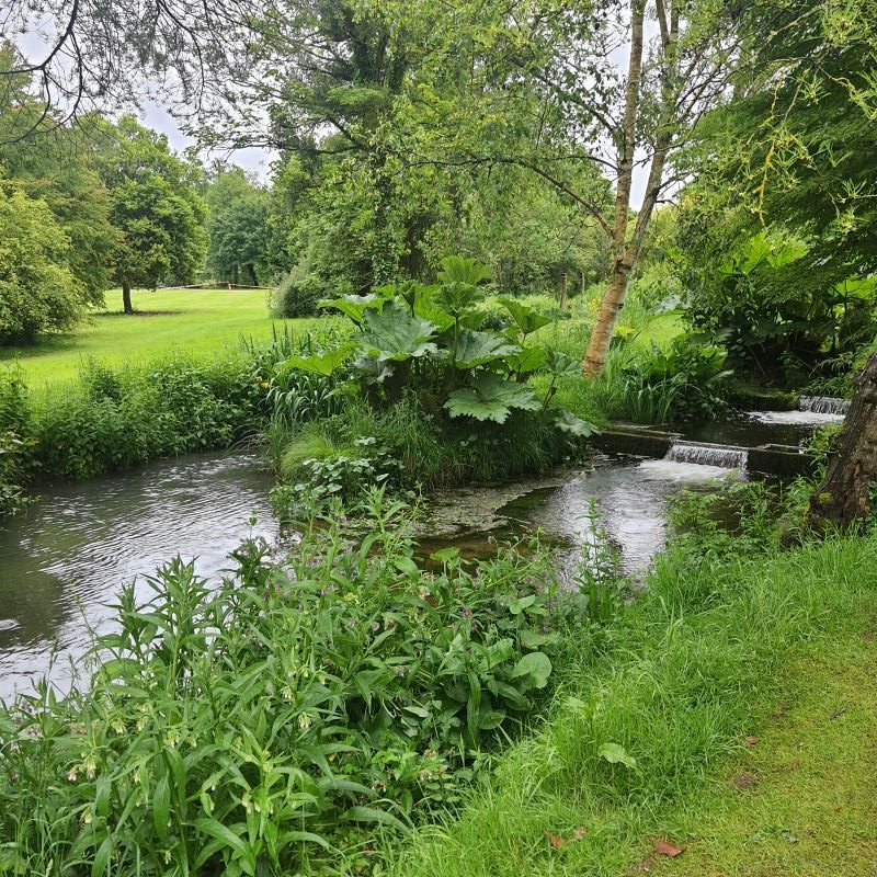 paysage-touraine.jpg